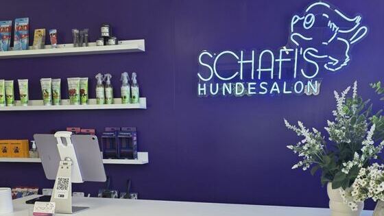 Willkommen auf unserem Blog