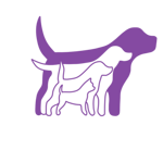 Riesen Hund ab 40kg