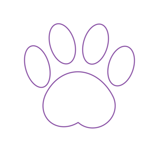 Kleine Services