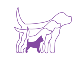 Kleiner Hund bis&nbsp;7&nbsp;kg