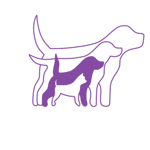 Mittlerer Hund 8&nbsp;-&nbsp;16&nbsp;kg