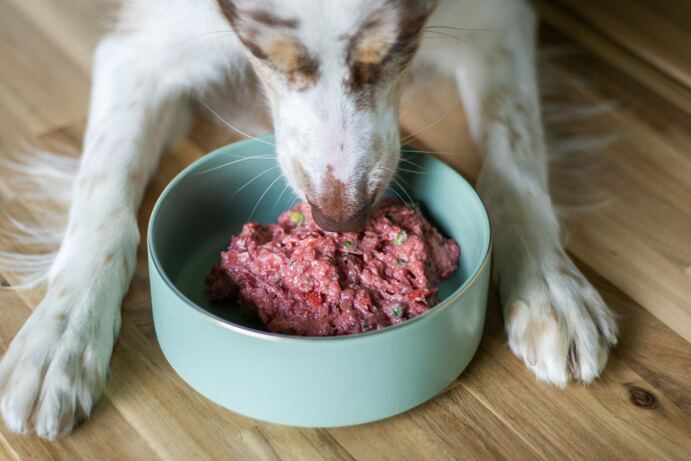 Ernährungsberatung für Hunde -                                     
Individuell. Ganzheitlich. Persönlich begleitet.