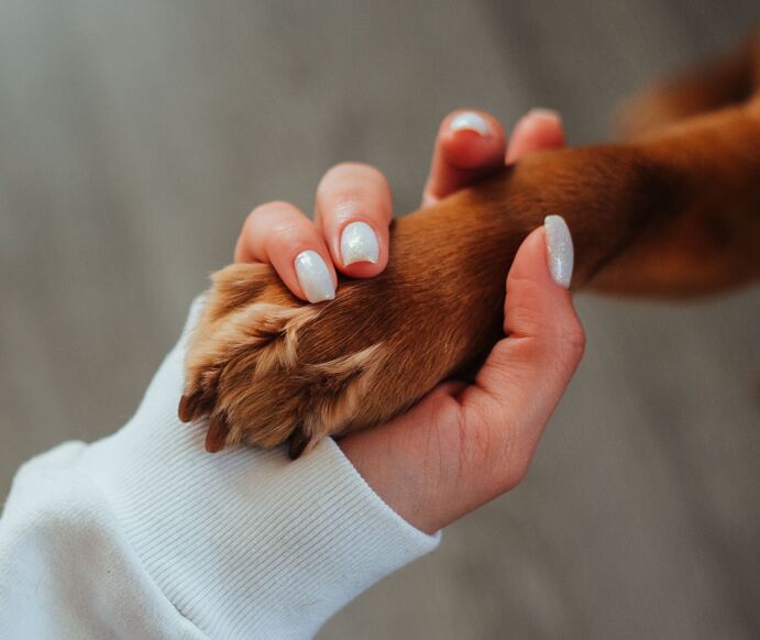 Für deinen Hund. Nicht für irgendeinen Hund.