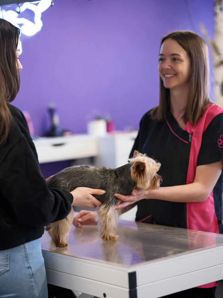 Individuelle Betreuung