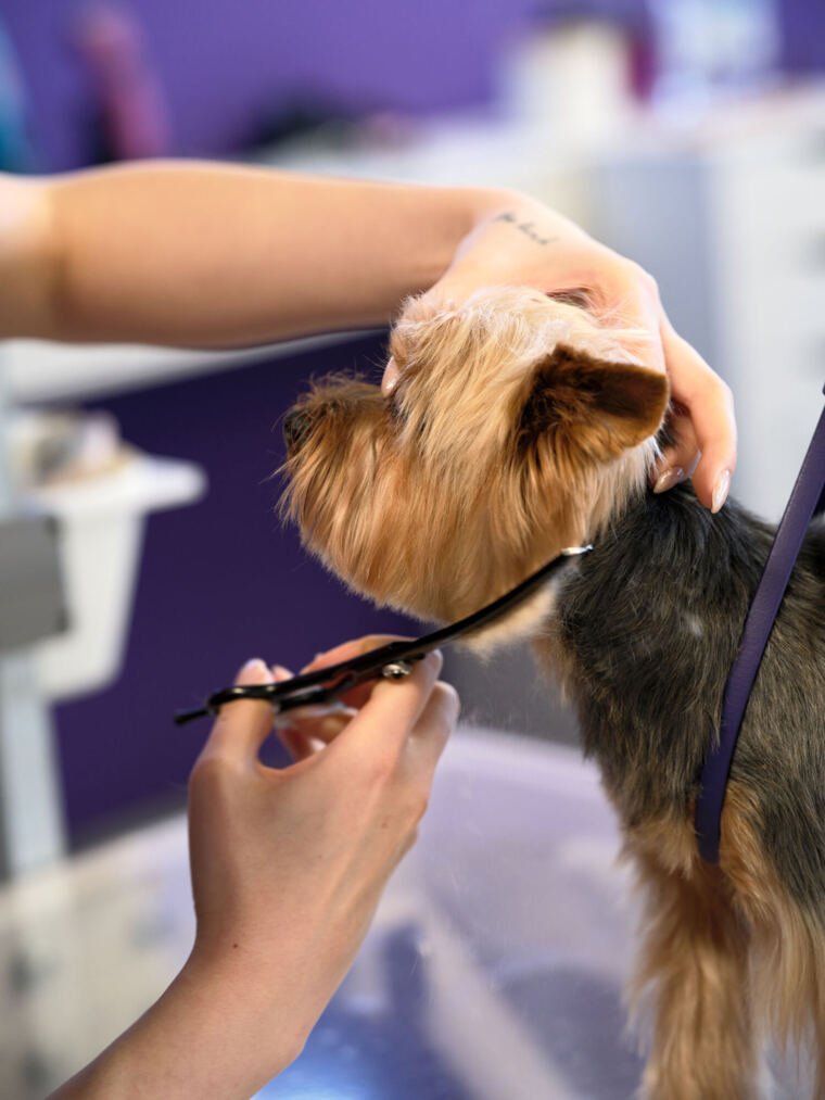 Erfahrung und Leidenschaft